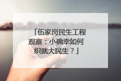 伍家岗民生工程观察：小确幸如何织就大民生？