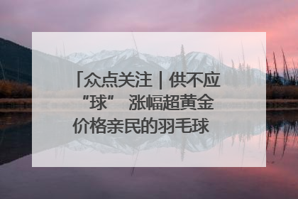 众点关注｜供不应“球” 涨幅超黄金 价格亲民的羽毛球为何身价飞涨？