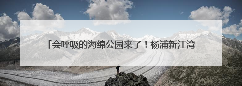 会呼吸的海绵公园来了！杨浦新江湾城7.35公顷生态空间改造焕新