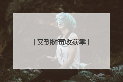 又到树莓收获季