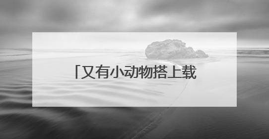 又有小动物搭上载人飞船去太空了！为什么模式生物能成为“探索代表”？