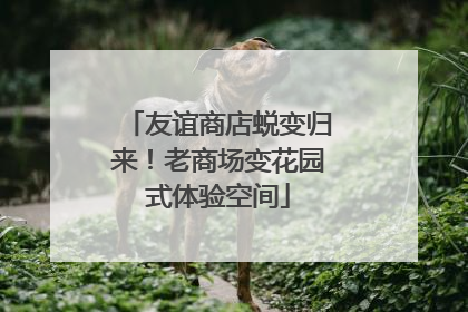 友谊商店蜕变归来！老商场变花园式体验空间
