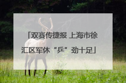 双赛传捷报 上海市徐汇区军休“乒”劲十足