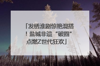 发绣淮剧惊艳混搭！盐城非遗“破圈”点燃Z世代狂欢