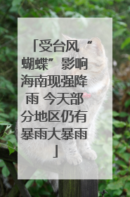 受台风“蝴蝶”影响海南现强降雨 今天部分地区仍有暴雨大暴雨