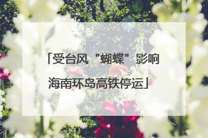 受台风“蝴蝶”影响 海南环岛高铁停运
