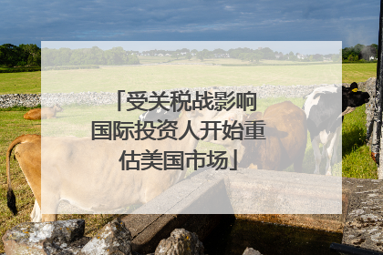 受关税战影响 国际投资人开始重估美国市场
