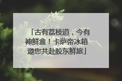 古有荔枝道，今有神鲜盒！卡萨帝冰箱邀您共赴胶东鲜旅