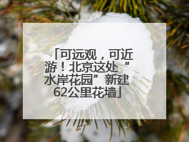可远观，可近游！北京这处“水岸花园”新建62公里花墙