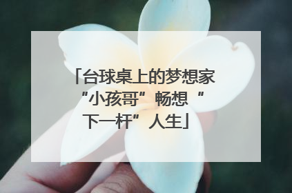 台球桌上的梦想家 “小孩哥”畅想“下一杆”人生