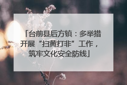 台前县后方镇：多举措开展“扫黄打非”工作，筑牢文化安全防线
