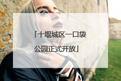 十堰城区一口袋公园正式开放