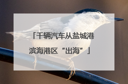 千辆汽车从盐城港滨海港区“出海”