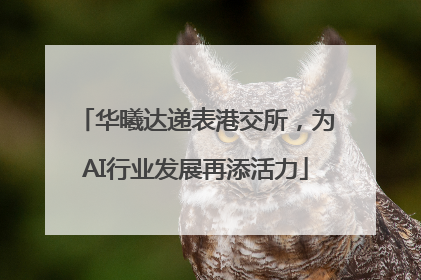 华曦达递表港交所，为AI行业发展再添活力