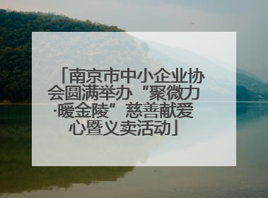 南京市中小企业协会圆满举办“聚微力·暖金陵”慈善献爱心暨义卖活动