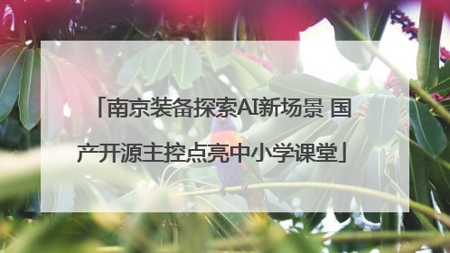 南京装备探索AI新场景 国产开源主控点亮中小学课堂