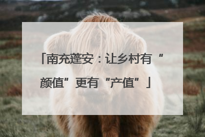 南充蓬安：让乡村有“颜值”更有“产值”