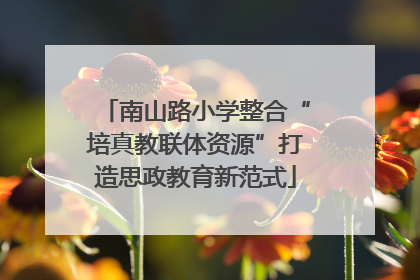 南山路小学整合“培真教联体资源”打造思政教育新范式