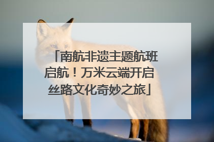 南航非遗主题航班启航！万米云端开启丝路文化奇妙之旅