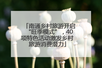 南通乡村旅游开启“旺季模式”，40项特色活动激发乡村旅游消费潜力