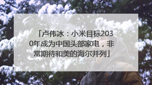 卢伟冰：小米目标2030年成为中国头部家电，非常期待和美的海尔并列