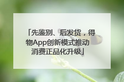 先鉴别、后发货，得物App创新模式推动消费正品化升级