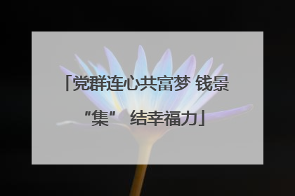 党群连心共富梦 钱景 “集” 结幸福力