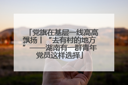 党旗在基层一线高高飘扬丨“去有村的地方”——湖南有一群青年党员这样选择