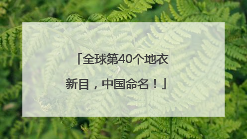 全球第40个地衣新目，中国命名！