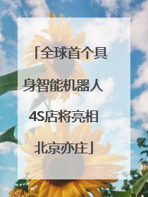 全球首个具身智能机器人4S店将亮相北京亦庄