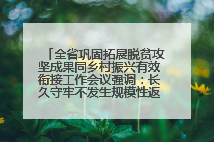 全省巩固拓展脱贫攻坚成果同乡村振兴有效衔接工作会议强调：长久守牢不发生规模性返贫致贫底线 王宁出席并讲话 王予波主持