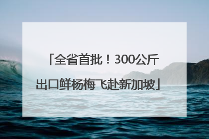 全省首批！300公斤出口鲜杨梅飞赴新加坡