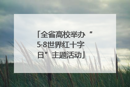 全省高校举办“5·8世界红十字日”主题活动