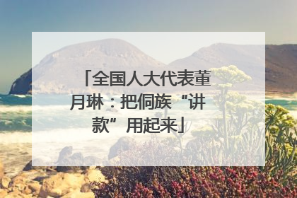 全国人大代表董月琳：把侗族“讲款”用起来