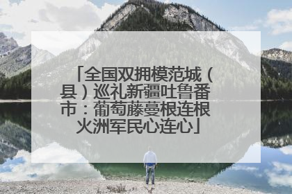 全国双拥模范城（县）巡礼新疆吐鲁番市：葡萄藤蔓根连根 火洲军民心连心