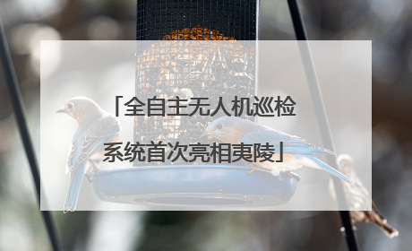 全自主无人机巡检系统首次亮相夷陵
