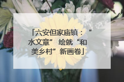 六安但家庙镇：“水文章” 绘就“和美乡村”新画卷