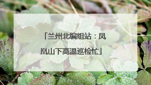 兰州北编组站：凤凰山下高温巡检忙