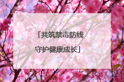 共筑禁毒防线 守护健康成长