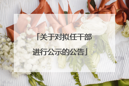 关于对拟任干部进行公示的公告