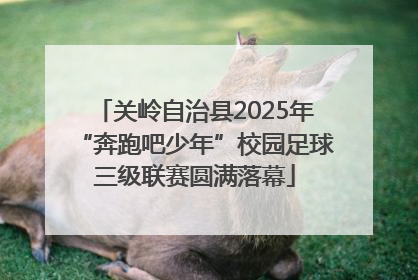 关岭自治县2025年“奔跑吧少年”校园足球三级联赛圆满落幕
