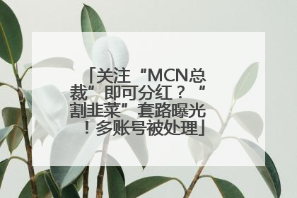 关注“MCN总裁”即可分红？“割韭菜”套路曝光！多账号被处理