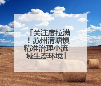 关注度拉满！苏州渭塘镇精准治理小流域生态环境