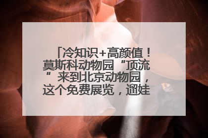 冷知识+高颜值！莫斯科动物园“顶流”来到北京动物园，这个免费展览，遛娃拍照两不误！