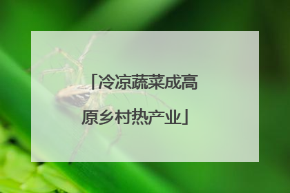 冷凉蔬菜成高原乡村热产业