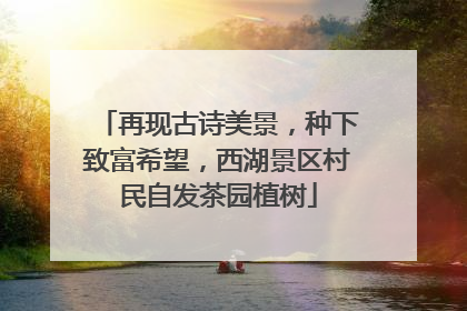 再现古诗美景，种下致富希望，西湖景区村民自发茶园植树