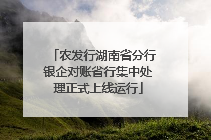 农发行湖南省分行银企对账省行集中处理正式上线运行