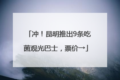 冲！昆明推出9条吃菌观光巴士，票价→