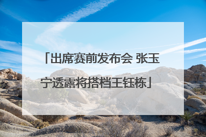 出席赛前发布会 张玉宁透露将搭档王钰栋