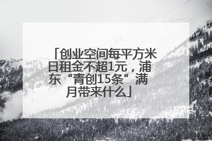 创业空间每平方米日租金不超1元，浦东“青创15条”满月带来什么